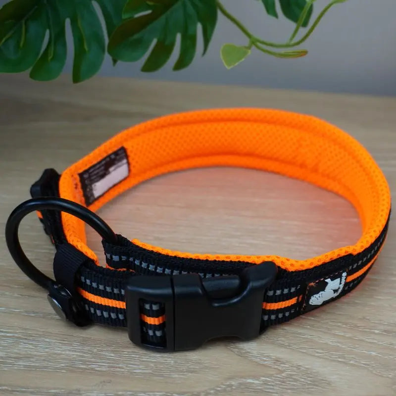 Collier Chien - True Love Charlotte