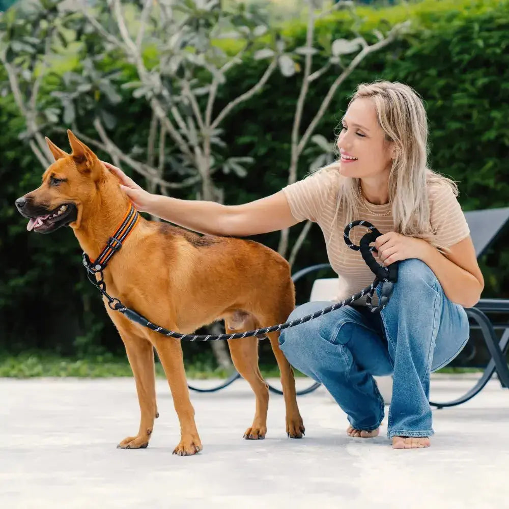 Collier Chien - True Love Charlotte