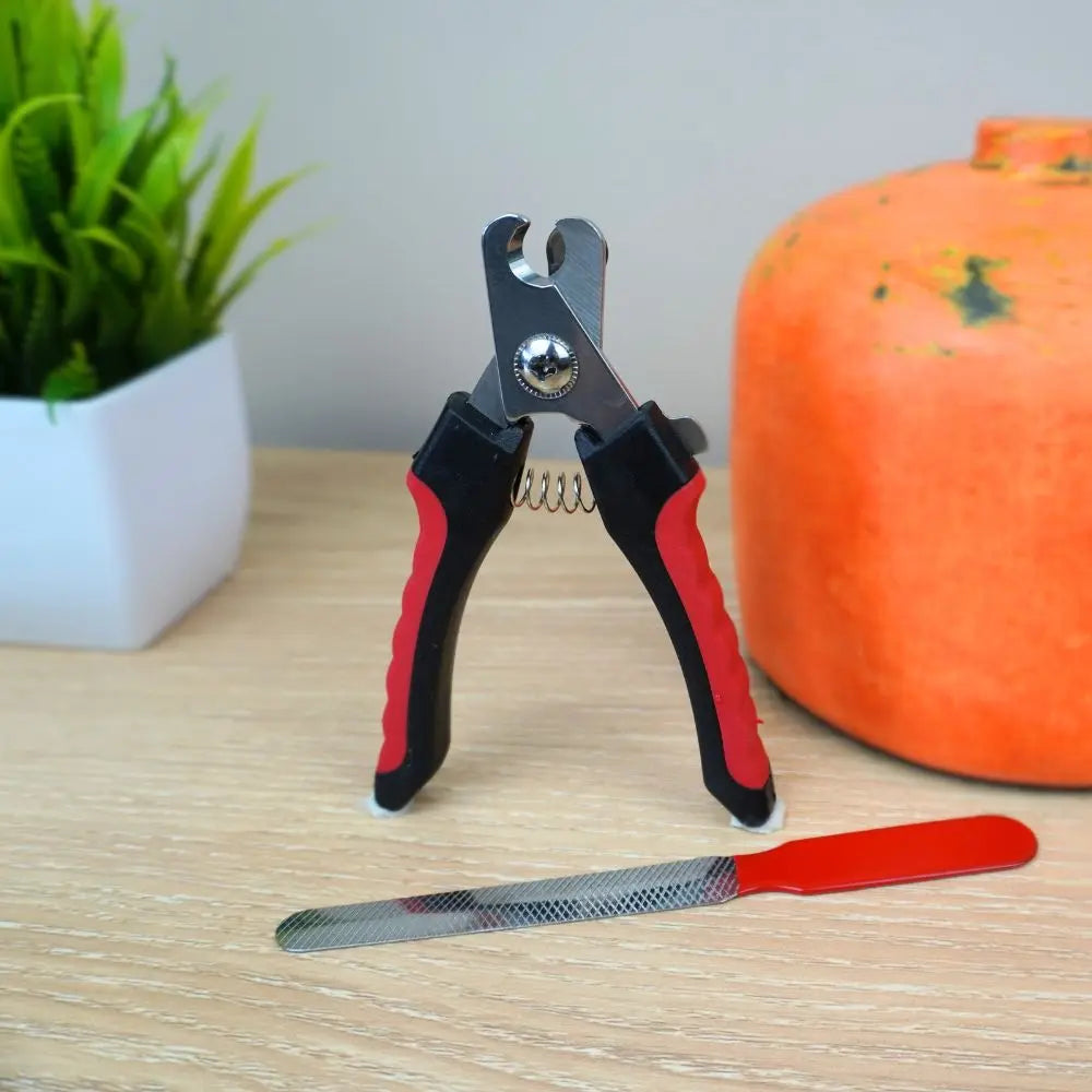 Coupe-ongle pour chien Charlotte