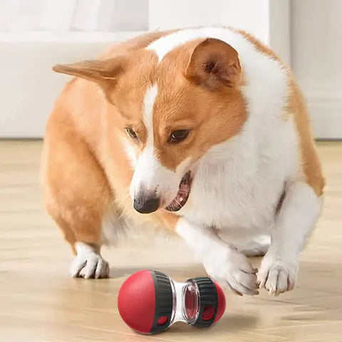 Distributeur de croquettes pour chien | SNACKROLLER™ Nala et Milo