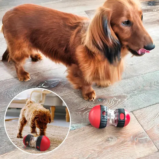 Distributeur de croquettes pour chien rouge