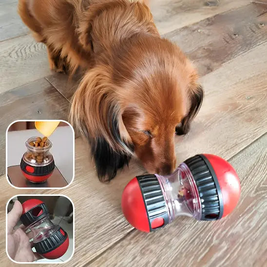 Distributeur de croquettes pour chien