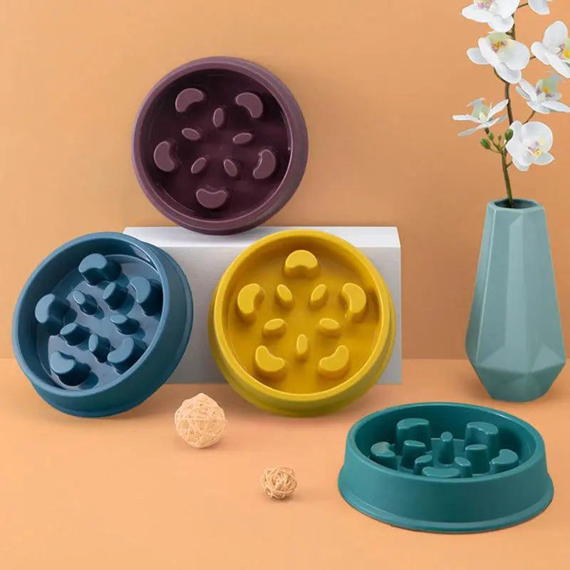 Gamelle anti-glouton Charlotte