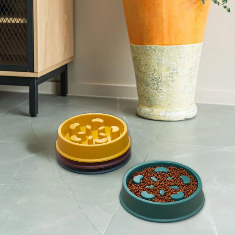 Gamelle anti-glouton Charlotte