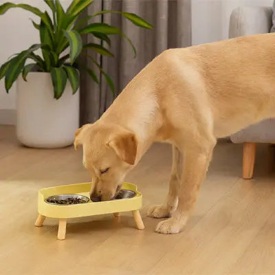 Gamelle chien surélevée | ÉCOPAW BOWL™ Nala et Milo