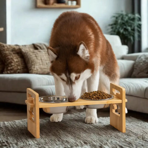 Gamelle chien surélevée | ZENCROQ™ Nala et Milo