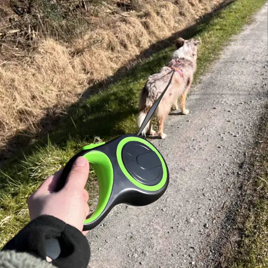 Laisse pour chien - CITYFLEX™ Nala et Milo