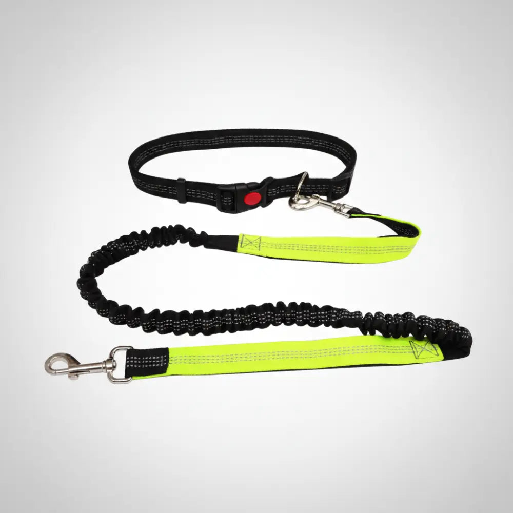 Laisse pour chien | CANICORDE™ Nala et Milo