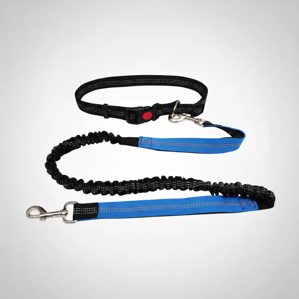 Laisse pour chien | CANICORDE™ Nala et Milo