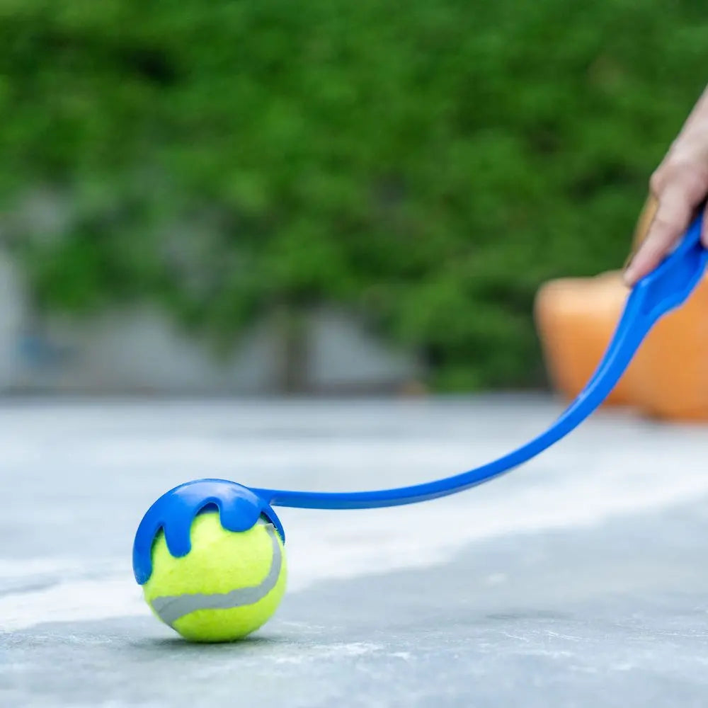 Lanceur de balle pour chien Charlotte