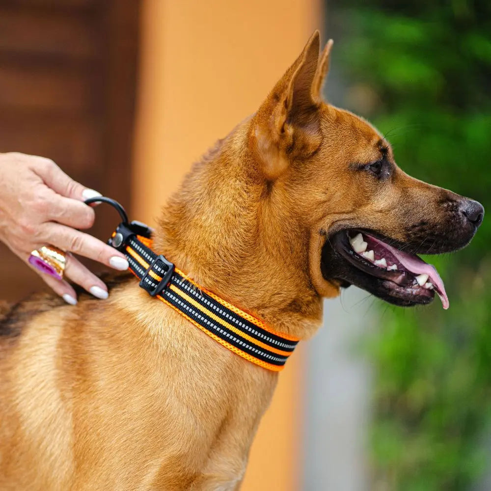 Pack Bienvenue Charlotte