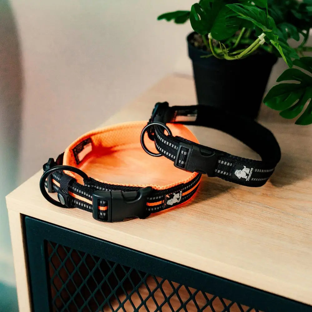 Pack Bienvenue Charlotte