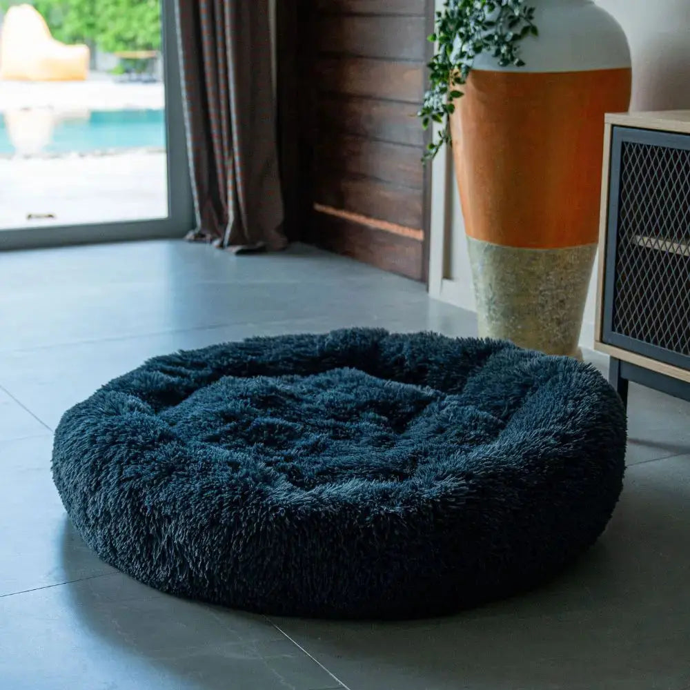 Pack Bienvenue Charlotte