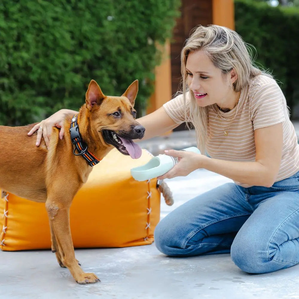 Pack Essentiel Charlotte