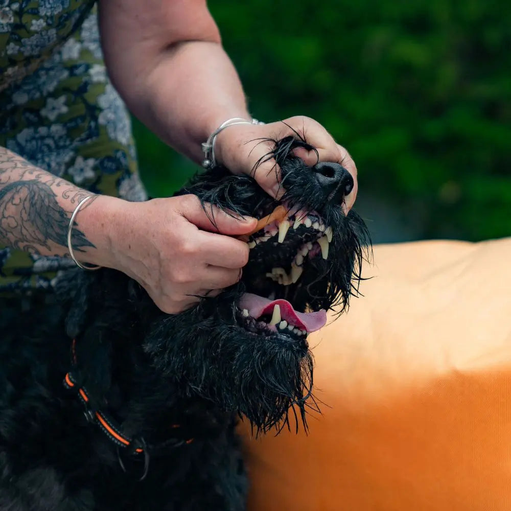 Pack Essentiel Charlotte