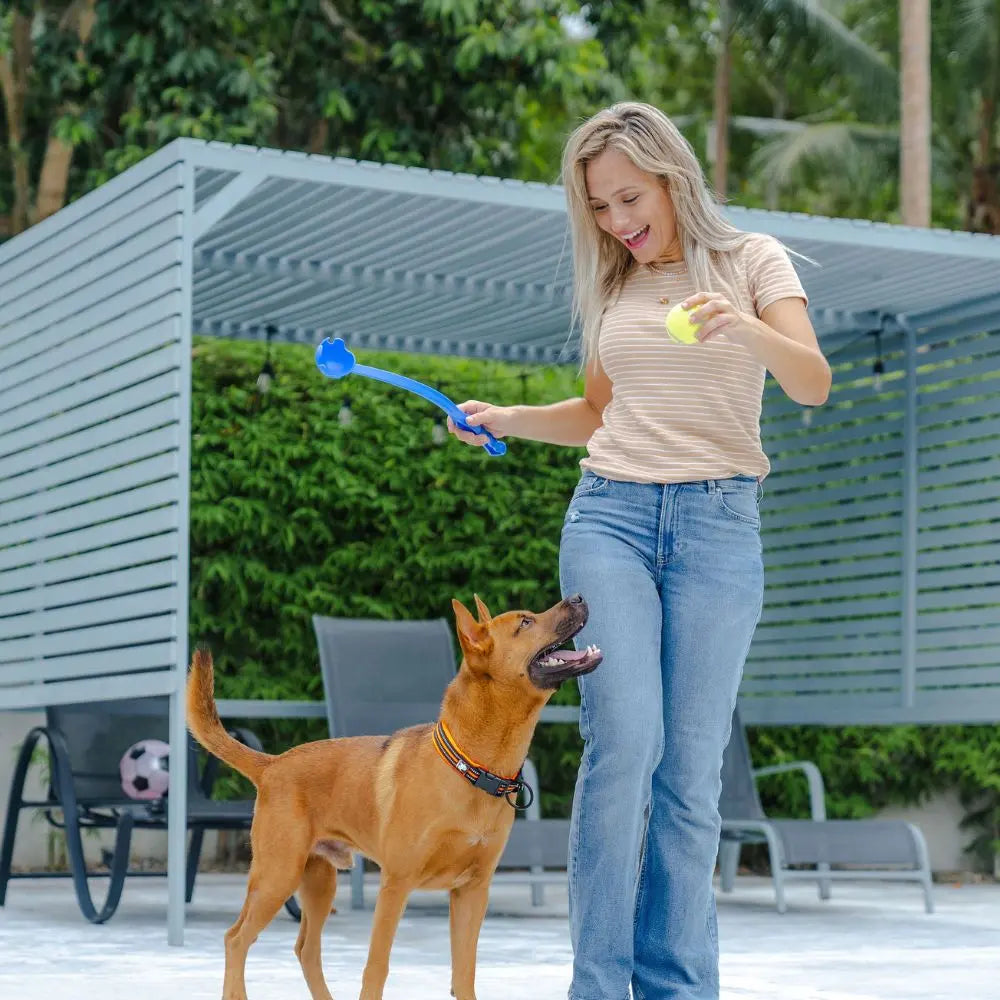 Pack Essentiel Charlotte