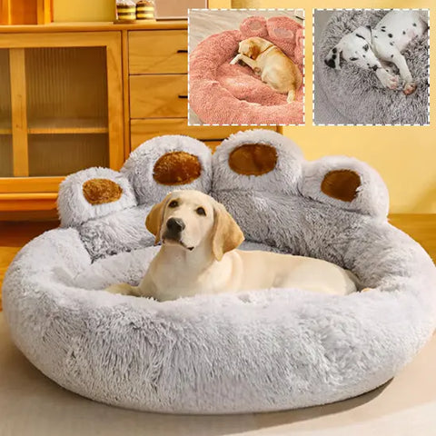 Panier chien | PATADOG Nala et Milo