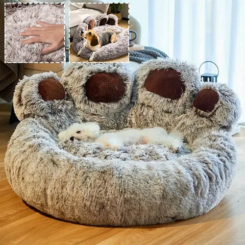 Panier chien | PATADOG Nala et Milo