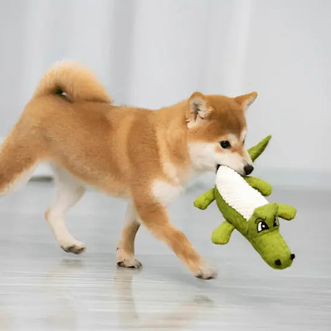 Peluche pour chien | CROCODOG™ Nala et Milo