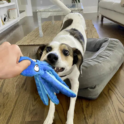 Peluche pour chien | OctoBuddy™ Nala et Milo