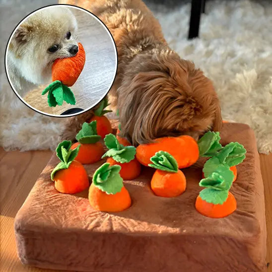 Tapis de fouille chien avec chien cherchant nourriture