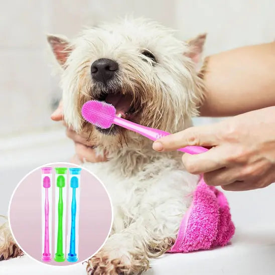 brossage dents chien avec brosse a dent chien rose