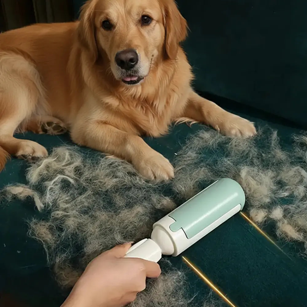 brosse anti poil retirant poils de chien