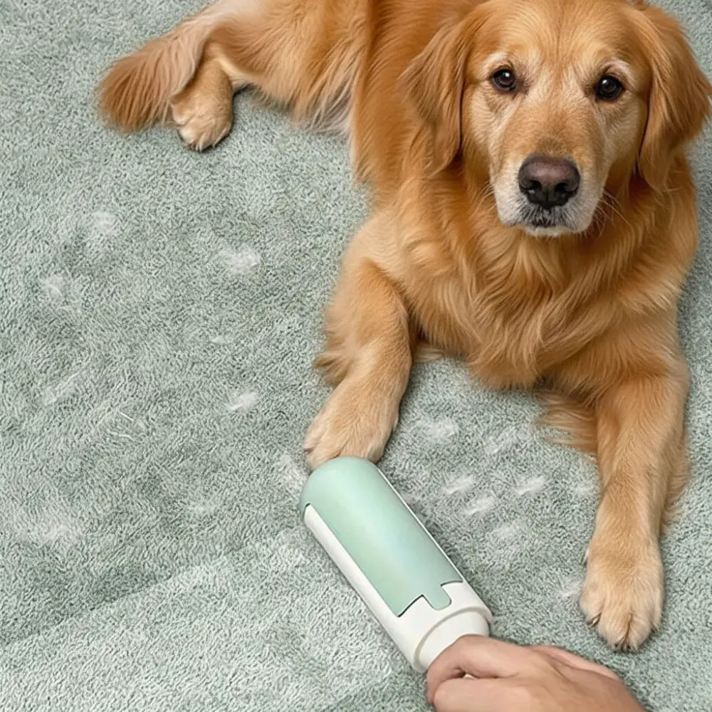 brosse anti poil tenue avec chien