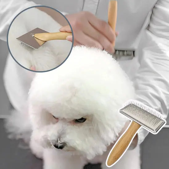 brosse chien | Calmopoil Nala et Milo