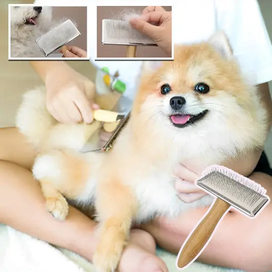 brosse chien | Calmopoil Nala et Milo