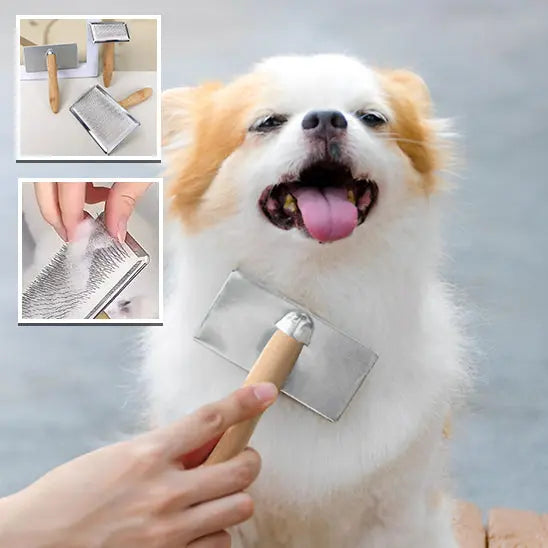 brosse chien | Calmopoil Nala et Milo