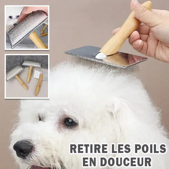 brosse chien | Calmopoil Nala et Milo
