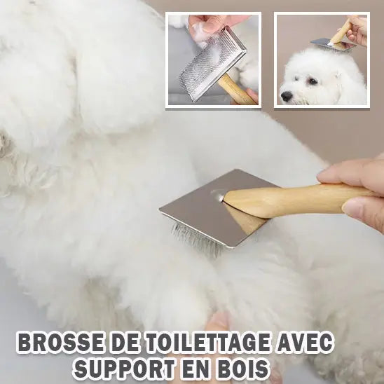 brosse chien | Calmopoil Nala et Milo