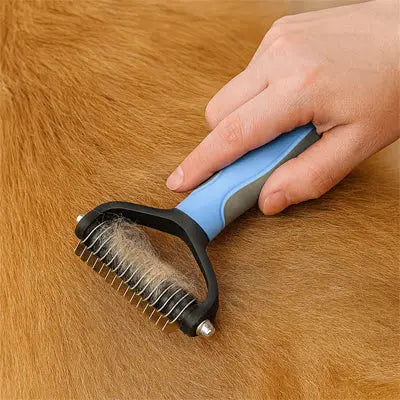 brosse pour chien en action