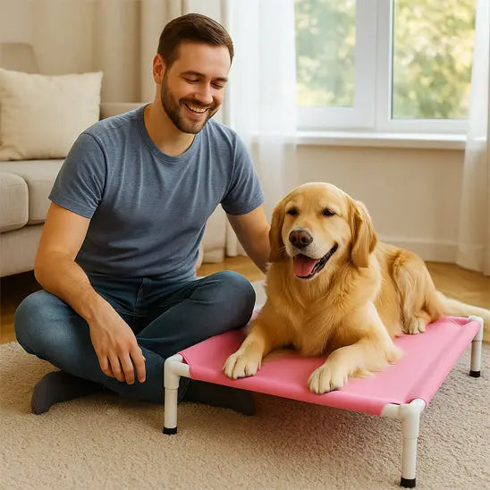 chien allonge sur lit pour chien sureleve rose