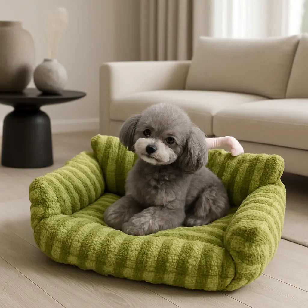 chien assis sur canape pour chien vert avec rayures