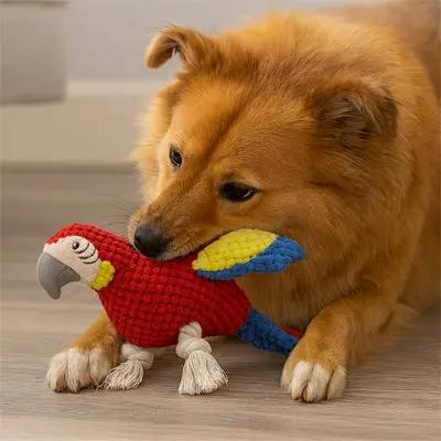 chien attrapant avec peluche pour chien perroquet