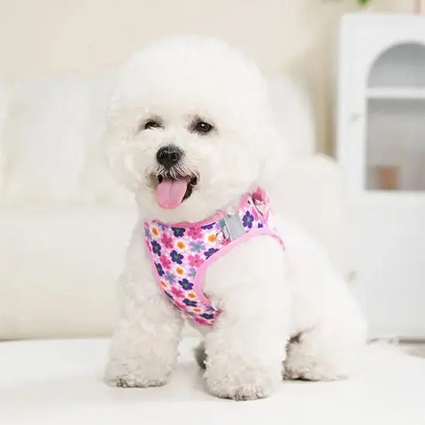 chien avec harnais chien rose floral