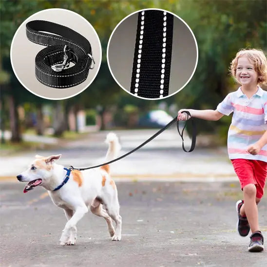 chien avec laisse pour chien noire dans parc