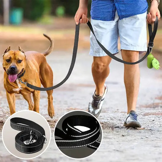 chien avec laisse pour chien noire promenade