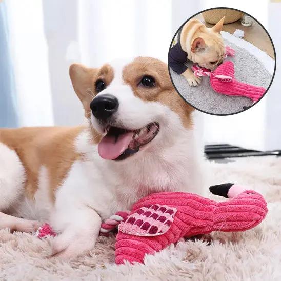 chien avec peluche pour chien flamant rose