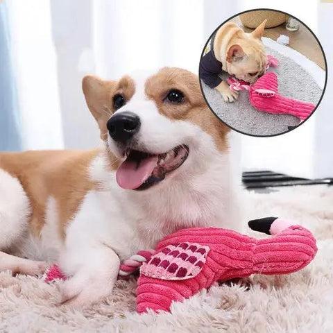 chien avec peluche pour chien flamant rose