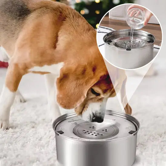 chien buvant dans gamelle pour chien