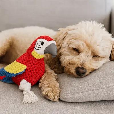 chien dormant avec peluche pour chien perroquet