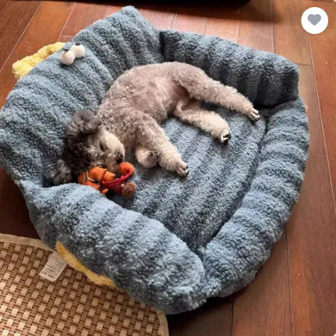 chien dormant dans canape pour chien bleu avec rayures