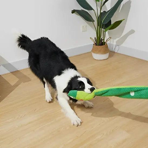 chien jouant avec peluche pour chien escargot