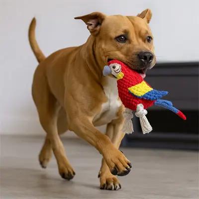 chien jouant avec peluche pour chien perroquet