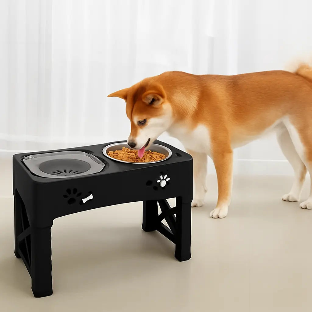 chien mangeant dans gamelle anti glouton