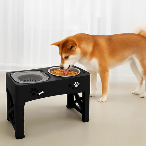 chien mangeant dans gamelle anti glouton