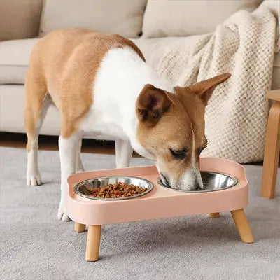 chien mangeant dans gamelle pour chien surelevee rose